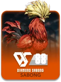 C9Taya Sports DS88