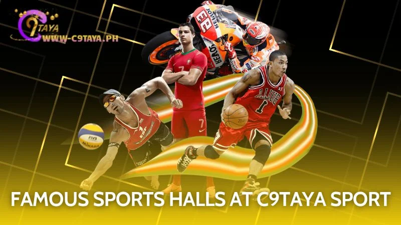 Discover the renowned and famous sports betting halls on C9TAYA